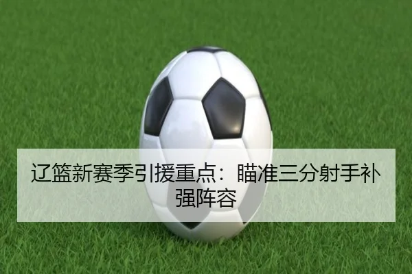 辽篮新赛季引援重点：瞄准三分射手补强阵容