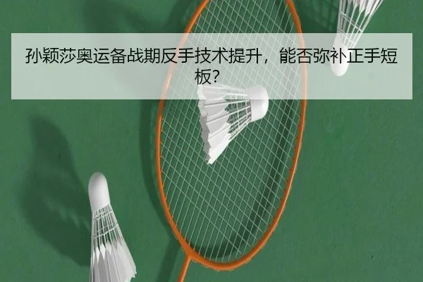 sun-ying-sha-ao-yun-bei-zhan-qi-fan-shou-ji-shu-ti-sheng-neng-fou-mi-bu-zheng-shou-duan-ban-2-898.jpg